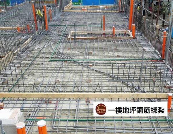 月上波2期：圖片 21