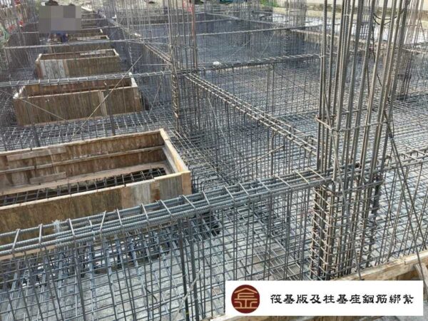 明義雙星：圖片 11