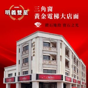 明義雙星